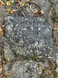 image of grave number 259602